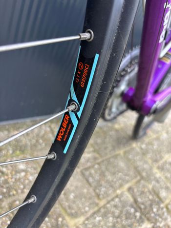 Used Koga Exerciser Shimano 105 1992 Road & Gravel, Purple — image 7 of 9