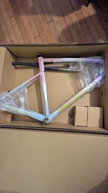 Used Specialized Allez Frameset 2025 Road & Gravel