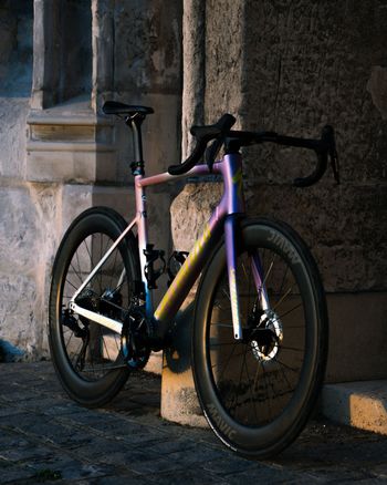 Used Specialized Allez Frameset 2025 Road & Gravel, Purple — image 6 of 6