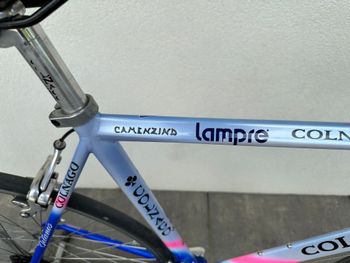 Used Colnago COLNAGO Vintage Lampre Camenzind World Champion Edition Rennrad 1998 Road & Gravel — image 2 of 21