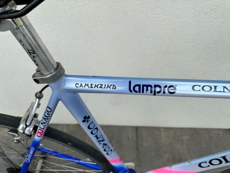 Used Colnago COLNAGO Vintage Lampre Camenzind World Champion Edition Rennrad 1998 Road & Gravel — image 2 of 21