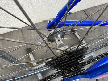 Used Colnago COLNAGO Vintage Lampre Camenzind World Champion Edition Rennrad 1998 Road & Gravel — image 18 of 21