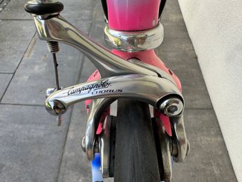 Used Colnago COLNAGO Vintage Lampre Camenzind World Champion Edition Rennrad 1998 Road & Gravel — image 8 of 21