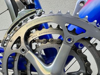 Used Colnago COLNAGO Vintage Lampre Camenzind World Champion Edition Rennrad 1998 Road & Gravel — image 10 of 21