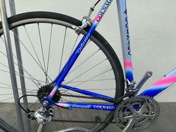 Used Colnago COLNAGO Vintage Lampre Camenzind World Champion Edition Rennrad 1998 Road & Gravel — image 12 of 21