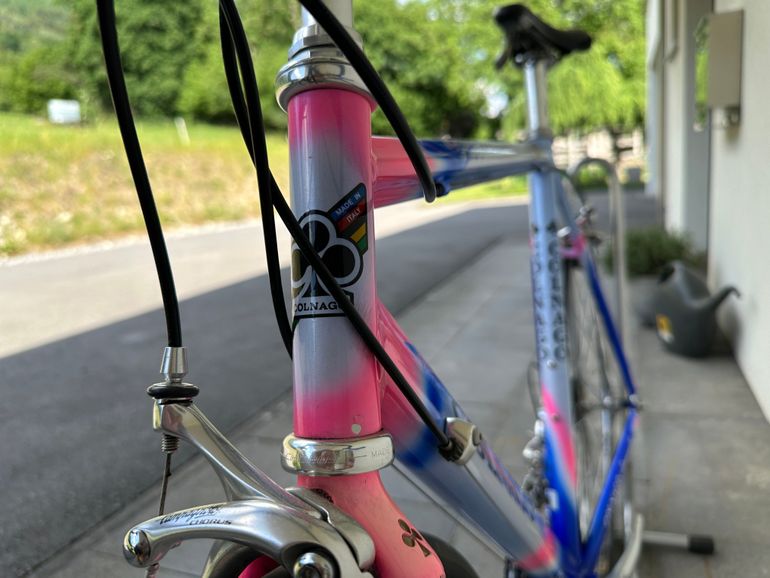Used Colnago COLNAGO Vintage Lampre Camenzind World Champion Edition Rennrad 1998 Road & Gravel — image 3 of 21