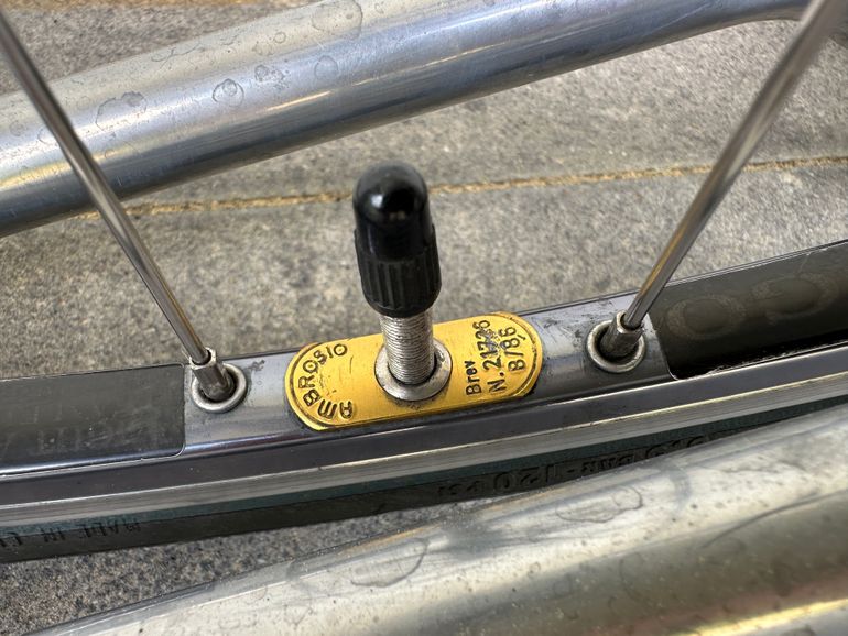 Used Colnago COLNAGO Vintage Lampre Camenzind World Champion Edition Rennrad 1998 Road & Gravel — image 19 of 21