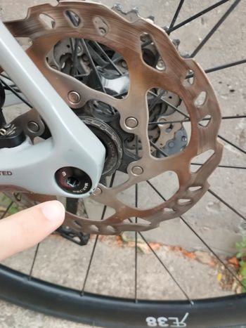Used Basso Basso Astra Road Bike 2025 Shimano 105 Di2 2025 Road & Gravel, Light Gray — image 4 of 6