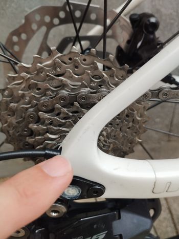 Used Basso Basso Venta R (Shimano 105) 2025 Road & Gravel — image 3 of 6