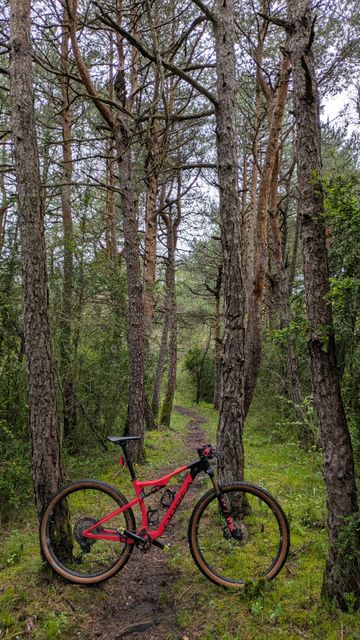 Brugt Orbea OIZ M10 2020 2020 Mountainbike — billede 7 af 7