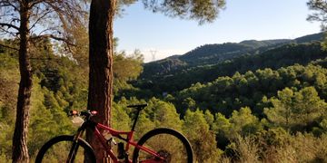 Brugt Orbea OIZ M10 2020 2020 Mountainbike — billede 2 af 7