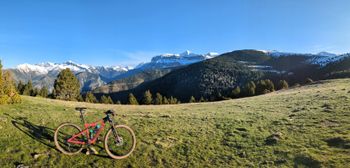 Used Orbea OIZ M10 2020 2020 Mountainbike, Rot, 29 — image 6 of 7