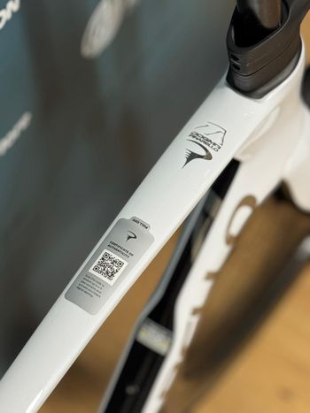 Used Pinarello Dogma F 2026 Chrystal White Frameset 2026 Road & Gravel, White — image 3 of 13