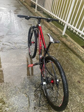 Used Trek Marlin Shimano Claris 2012 Mountainbike, Rot — image 4 of 7