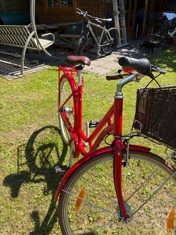 Used Pegasus Pegasus Custom Shimano Nexus Hub Gear 2017 Urban, Red — image 2 of 3