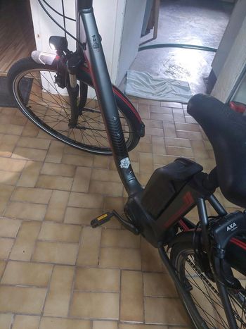 Used Raleigh Raleigh Custom 2019 Urban & Touring