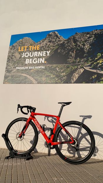 Used Wilier Wilier Cento 10 Ultegra 12 Sp - Size S 2023 Road & Gravel, Orange — image 28 of 30