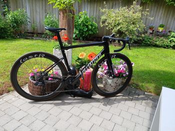 Used Specialized Tarmac SL8 Pro - Shimano Ultegra Di2 2025 2025 Road & Gravel, Black — image 5 of 7