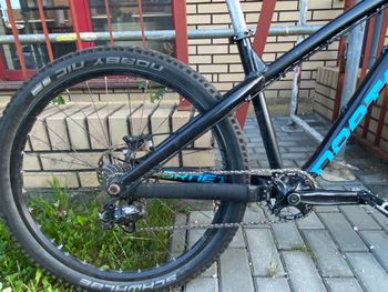 Used Dartmoor Dartmoor Hornet 2019 2019 Mountainbike, Schwarz — image 2 of 6