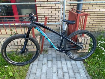 Used Dartmoor Dartmoor Hornet 2019 2019 Mountainbike, Schwarz — image 5 of 6