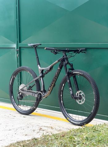 Used Orbea OIZ M30 2022 2022 Mountainbike, Hellgrau, 29 — image 3 of 15