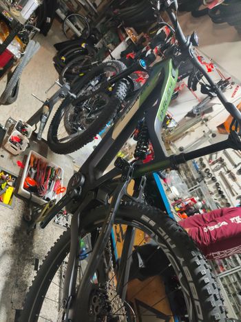 Used Whistle B-Rush Other Shimano 2024 Mountainbike, Green — image 2 of 3