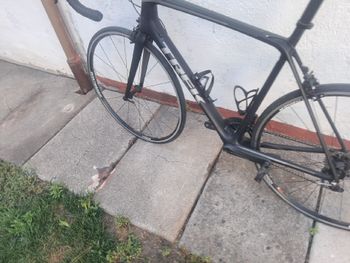 Used Trek Émonda SL 6 2018 2018 Road & Gravel, Black — image 8 of 8
