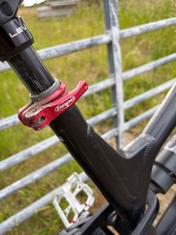 Used Canyon Canyon Torque AL7 2018 Mountainbike, Black — image 11 of 11