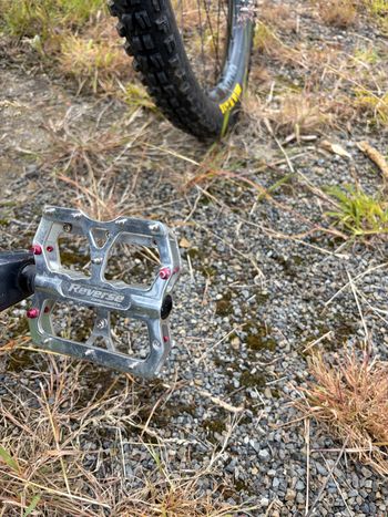 Used Canyon Canyon Torque AL7 2018 Mountainbike, Black — image 10 of 11