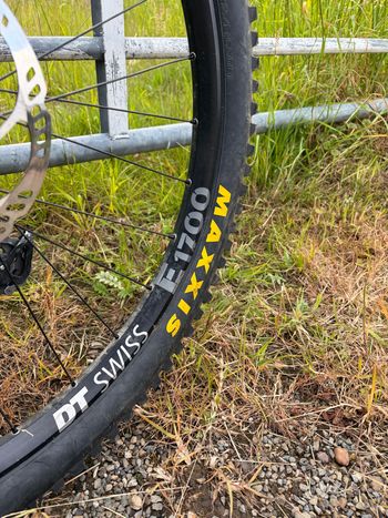 Used Canyon Canyon Torque AL7 2018 Mountainbike, Black — image 7 of 11