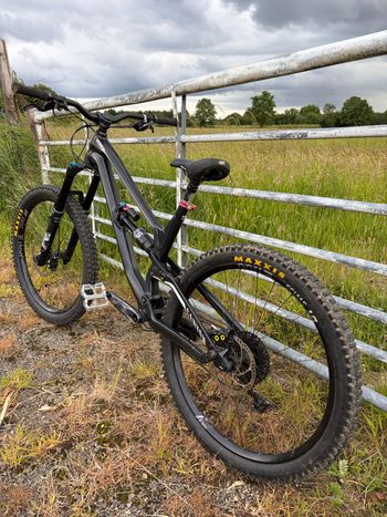 Used Canyon Canyon Torque AL7 2018 Mountainbike, Black — image 3 of 11