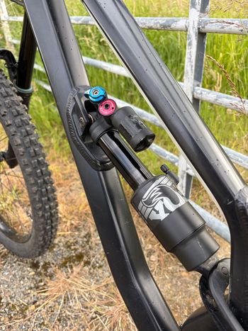 Used Canyon Canyon Torque AL7 2018 Mountainbike, Black — image 5 of 11