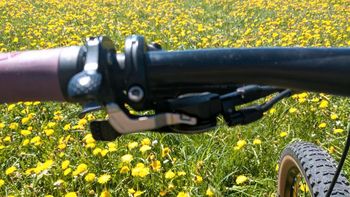 Used Scott SCOTT Genius Contessa 720 2018 2018 Mountainbike — image 9 of 22