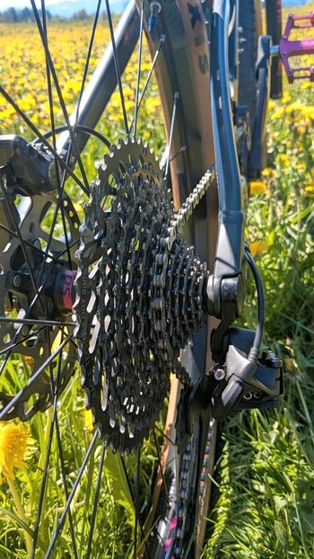 Used Scott SCOTT Genius Contessa 720 2018 2018 Mountainbike — image 20 of 22