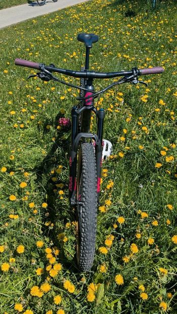 Used Scott SCOTT Genius Contessa 720 2018 2018 Mountainbike — image 3 of 22
