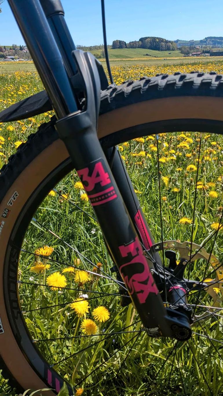 Used Scott SCOTT Genius Contessa 720 2018 2018 Mountainbike — image 6 of 22