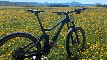 Used Scott SCOTT Genius Contessa 720 2018 2018 Mountainbike — image 2 of 22