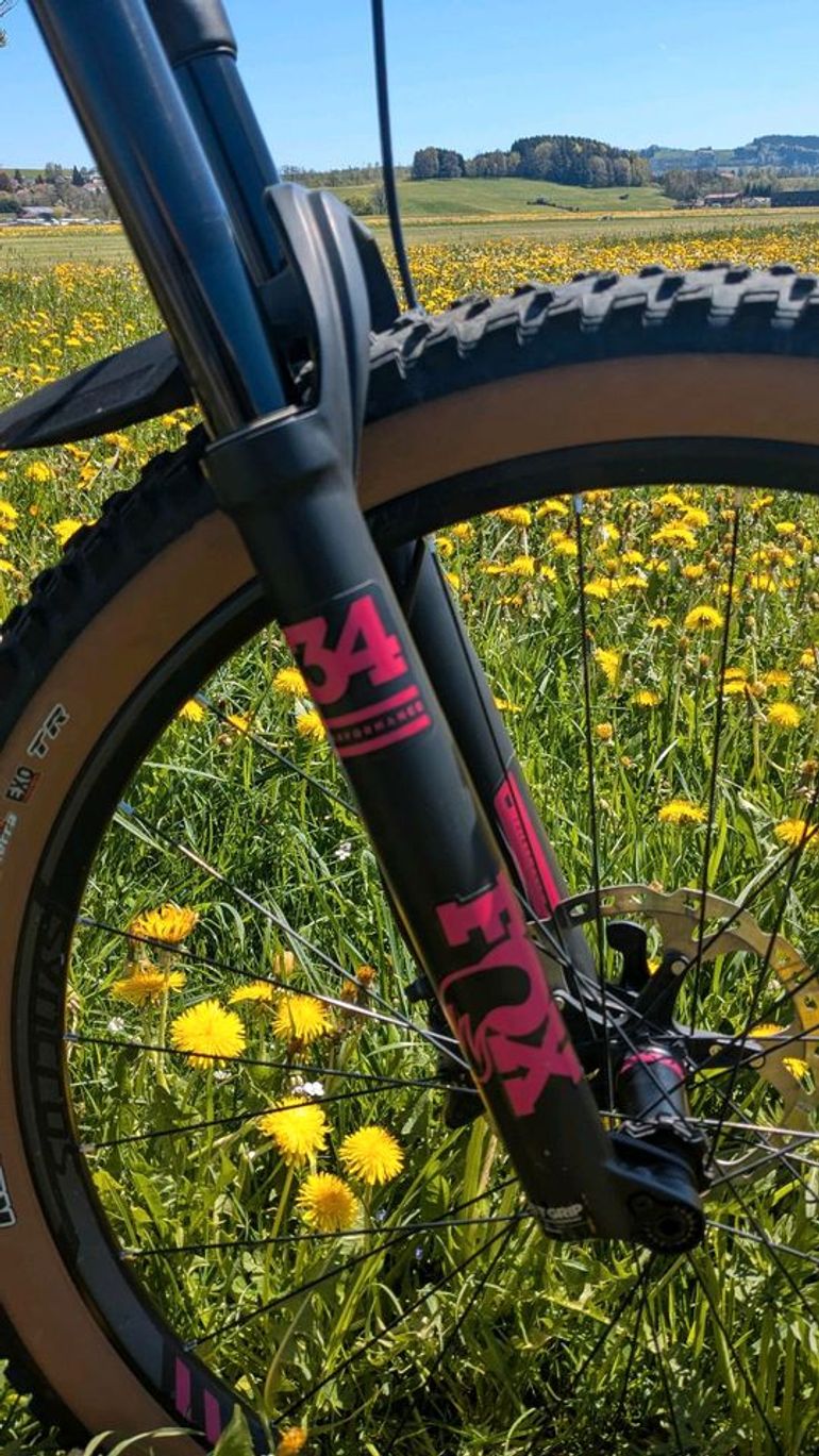 Used Scott SCOTT Genius Contessa 720 2018 2018 Mountainbike — image 11 of 22
