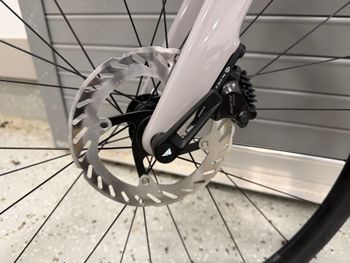 Used Canyon Endurace CF 7 Di2 2026 2026 Road & Gravel, Light Gray — image 6 of 8