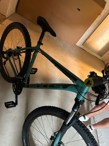 Used BULLS SHIMANO Tourney RD-TY300 2024 Mountainbike — image 3 of 4