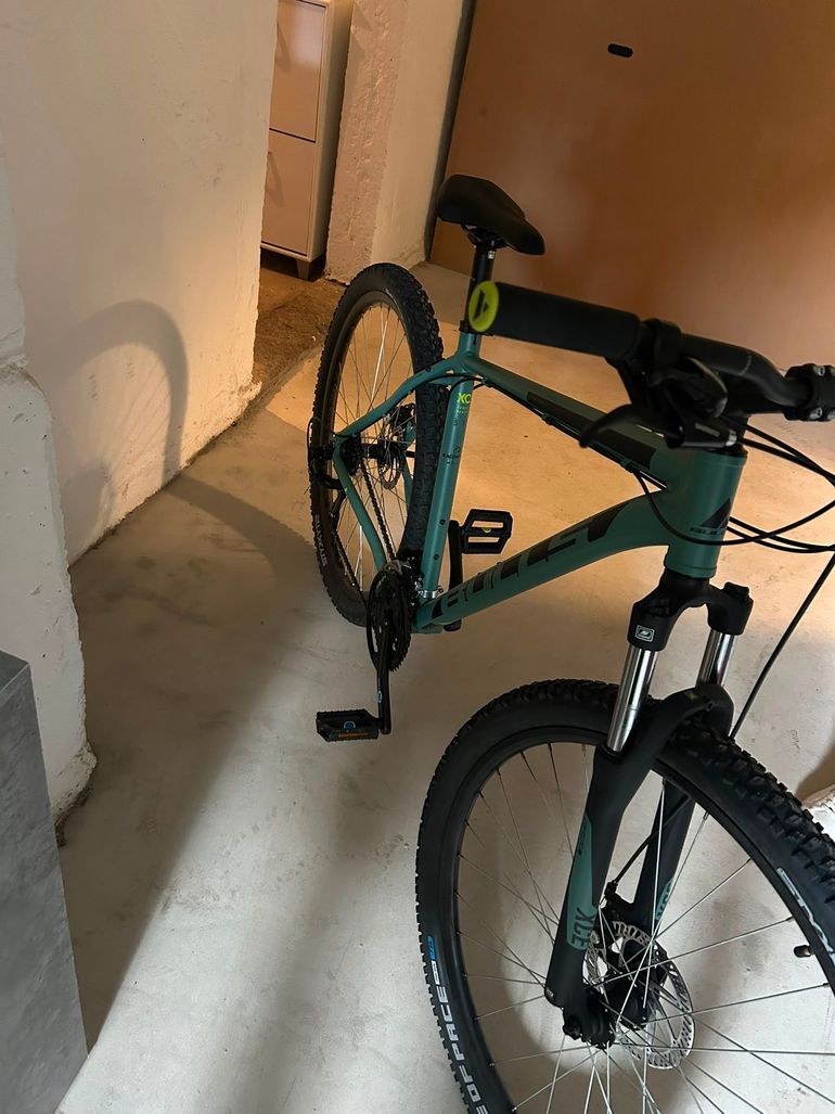 Used BULLS SHIMANO Tourney RD-TY300 2024 Mountainbike — image 2 of 4