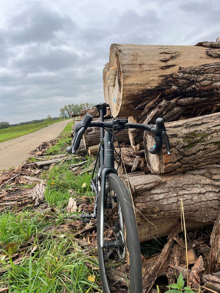 Used Specialized Aethos Pro - Ultegra Di2 2023 Frameset 2023 Road & Gravel, Green — image 4 of 6