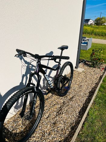 Used Giant Stance 29 1 2024 2024 Mountainbike, Violett, 29 — image 3 of 3