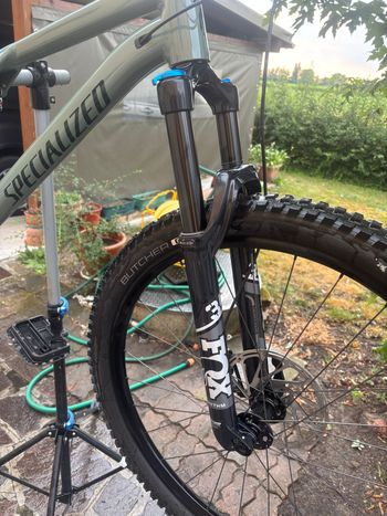 Used Specialized Men's Stumpjumper EVO Comp Alloy 29 2020 2020 Mountainbike, Grün, 29 — image 4 of 5