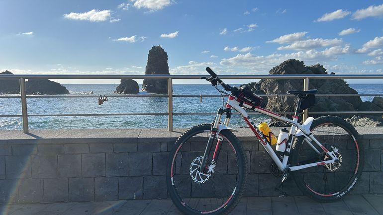Used Trek X-Caliber 9 2014 2014 Mountainbike, White, 29 — image 1 of 4
