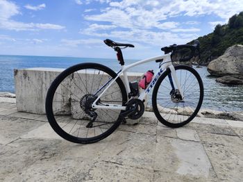Used Trek Émonda SL 6 2021 2021 Road & Gravel