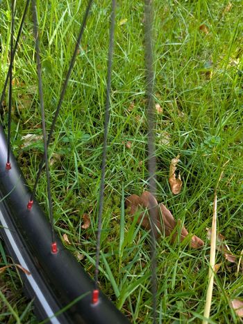 Used Böttcher Böttcher Custom Rohloff Speedhub Urban — image 8 of 16