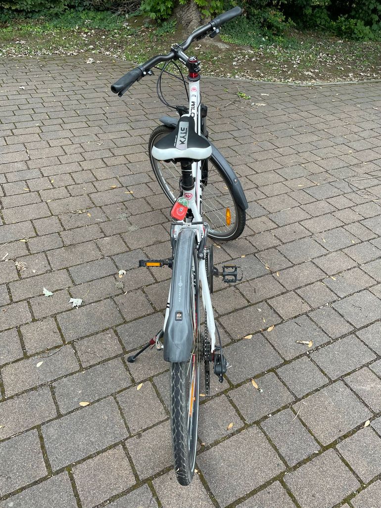 Used BULLS Wildcross Shimano XTR 2021 Urban — image 2 of 5