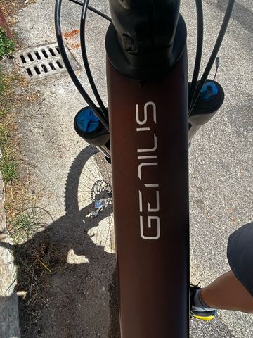 Used Scott Genius 930 2021 2021 Mountainbike, Orange, 29 — image 12 of 13