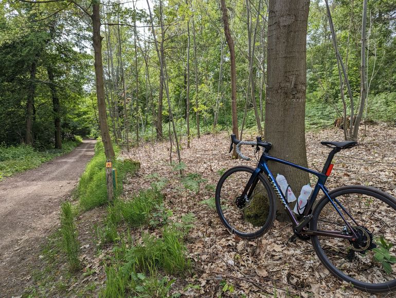 Used Specialized S-Works Roubaix 2020 Sunset Chameleon / Holographic Reflective 2020 Road & Gravel, Purple — image 4 of 17